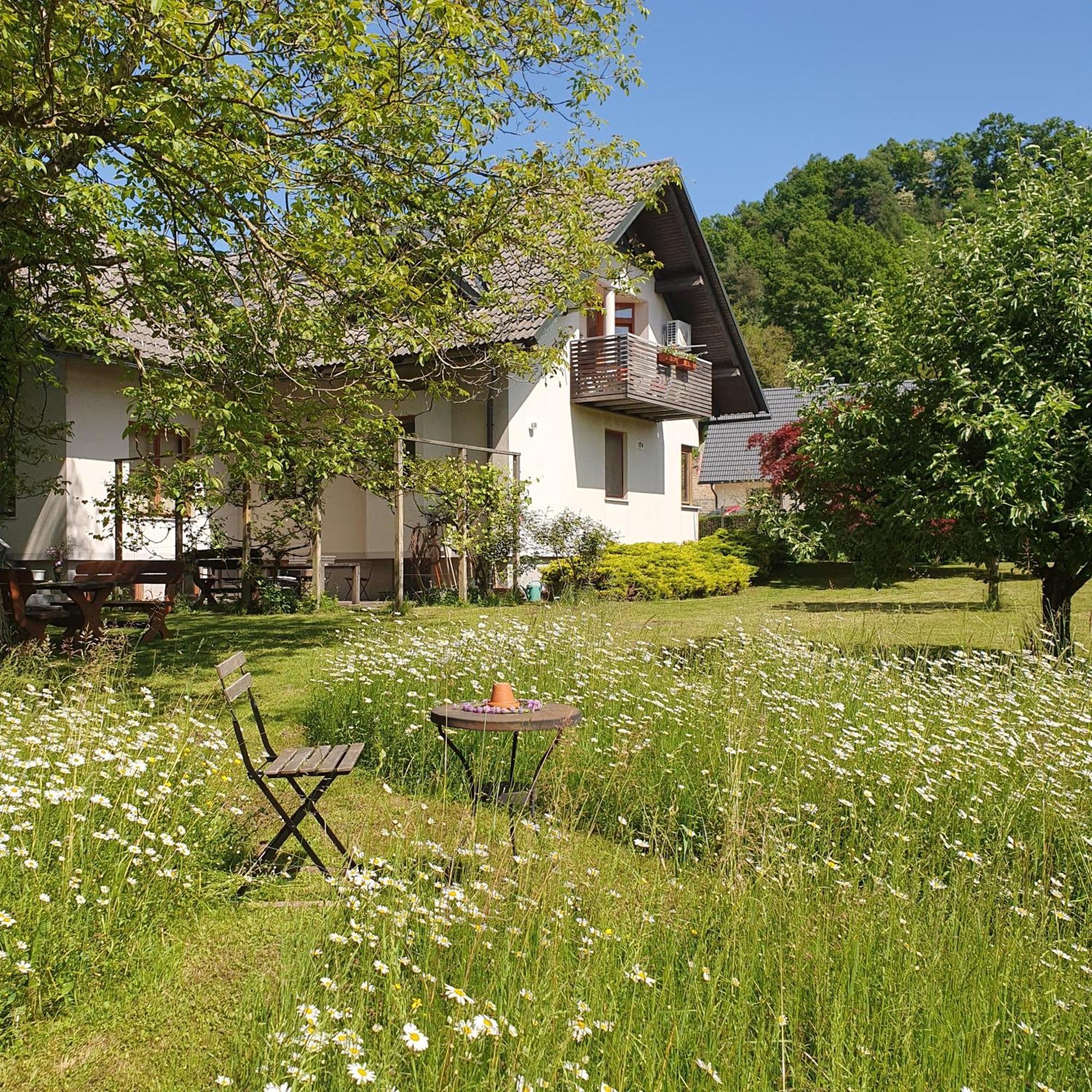 River House Radolca Radovljica Extérieur photo