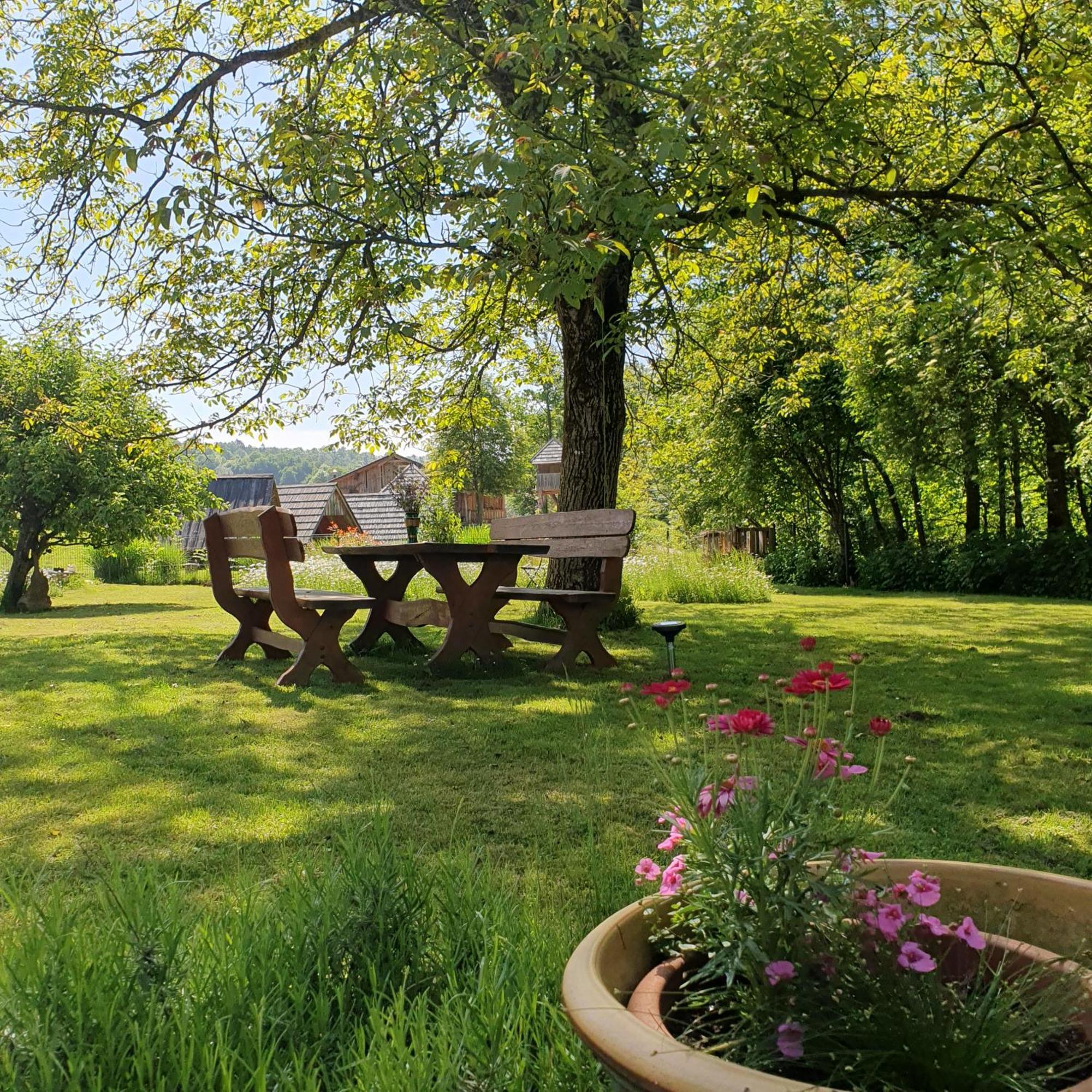 River House Radolca Radovljica Extérieur photo